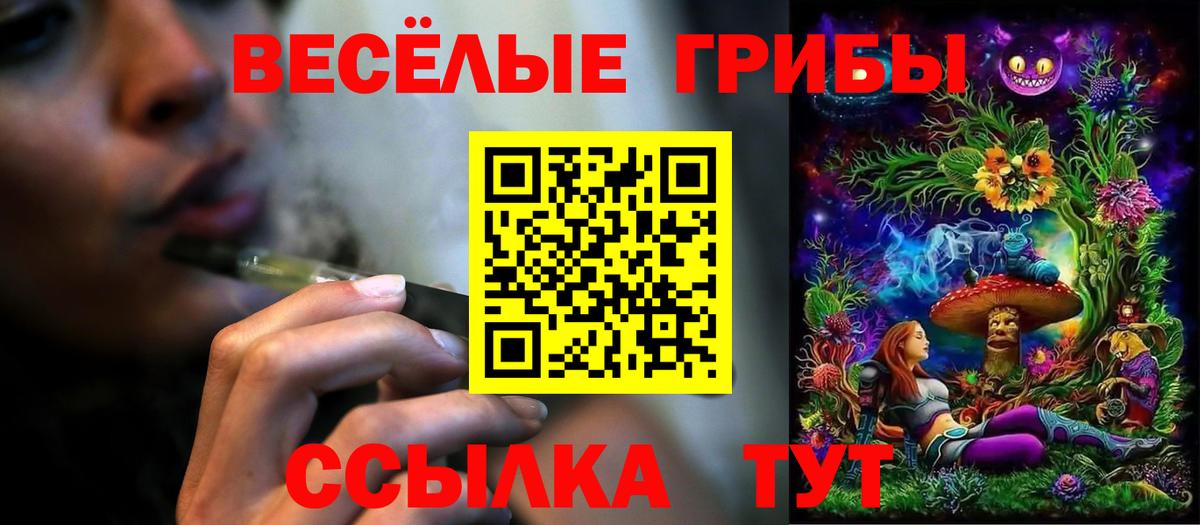 Коркино  Галлюциногенные грибы Psilocybe  Вход с VPN 